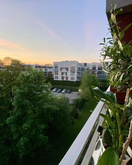 Leilighet Kaczary Deluxe 56m2 *