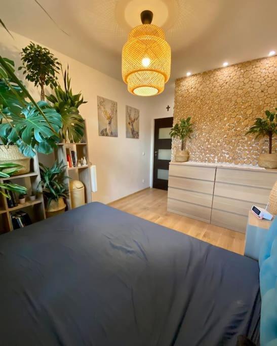 Leilighet Kaczary Deluxe 56m2 Krasków